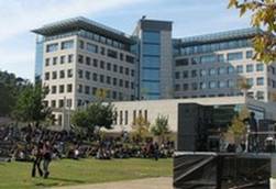 On the Haifa Technion campus
