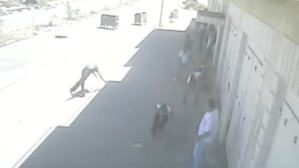 freeze-frame from the surveillance footage: the “victim” clearly breaks his fall.