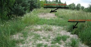 The site of mass Holocaust-era Jewish graves in Volodymyr-Volynsky